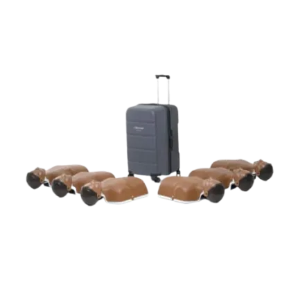 Laerdal Little Anne 6 stuks (donker)