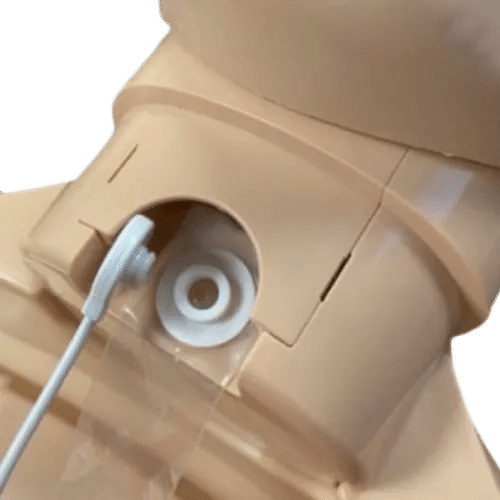Prestan 2000 reanimatietorso volwassene 4-pack met feedback monitor - Afbeelding 2
